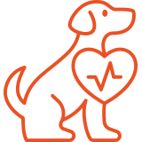 best pet care