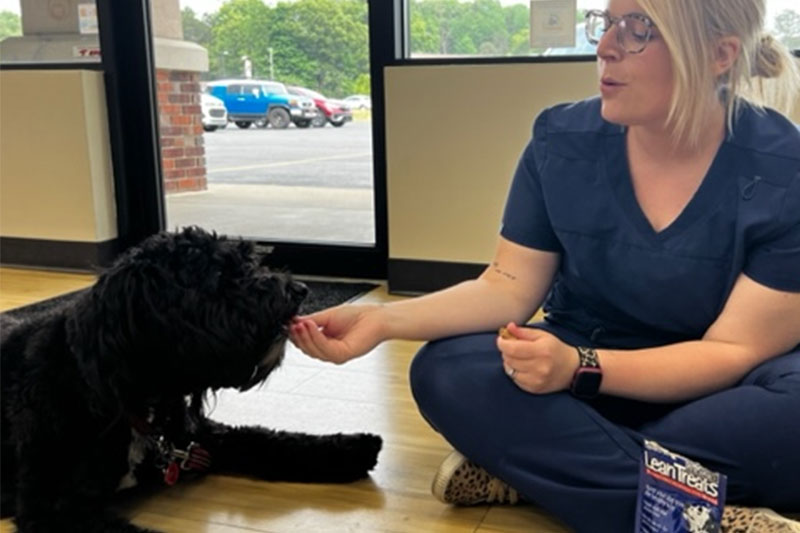 Low Stress Veterinary Clinic